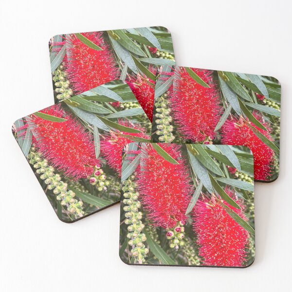 Item preview, Red Bottlebrush Flowers on Green Foliage designed and sold by Be Captured by Brittany Emma.
