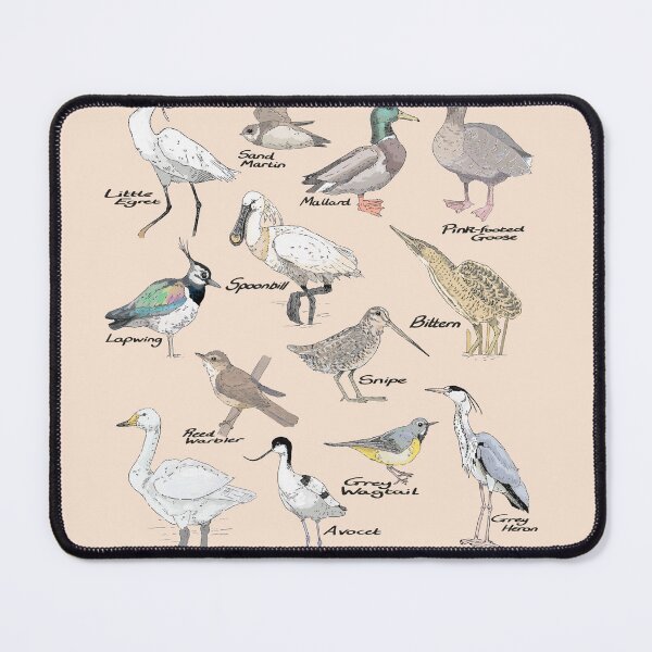 Item preview, Wetland Birds Collections designed and sold by TadpoleShrimp.