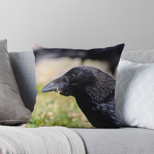 Item preview, Crow with full crop designed and sold by GreyFeatherPhot.