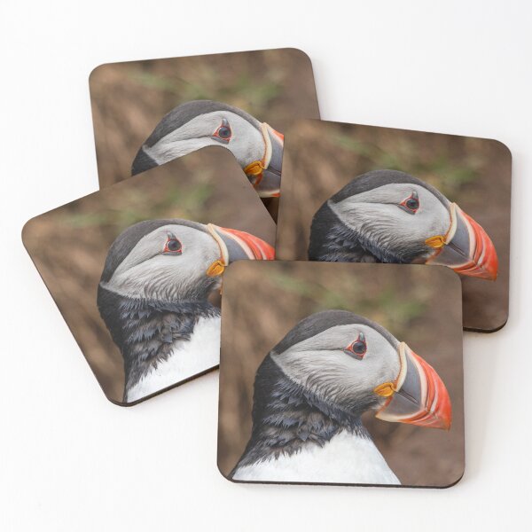 Item preview, Closeup of a puffin designed and sold by pietrofoto.