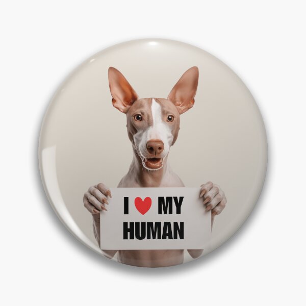 Item preview, Lindo perro American Hairless Terrier con letrero Amo a mi humano designed and sold by LazyOwlStore.