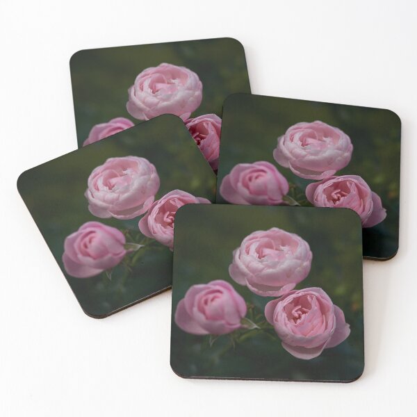 Item preview, Shy. Roses of the late summer series numer 11 designed and sold by Jouko Lehto Photography.
