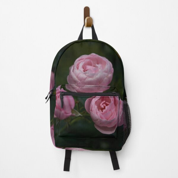 Item preview, Shy. Roses of the late summer series numer 11 designed and sold by Jouko Lehto Photography.