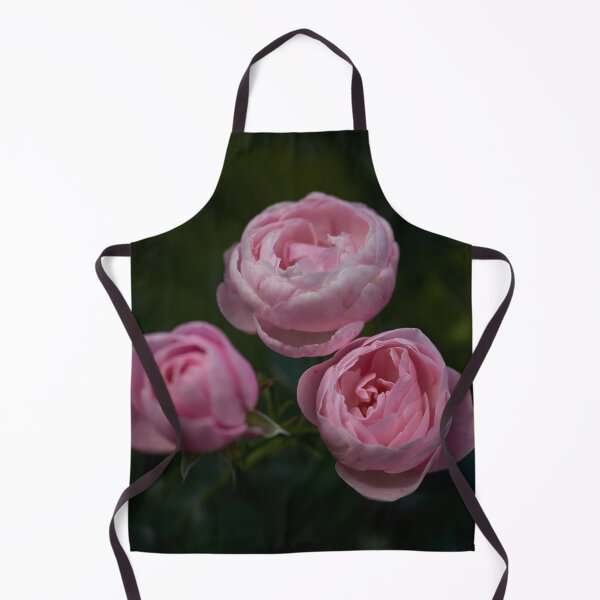 Item preview, Shy. Roses of the late summer series numer 11 designed and sold by Jouko Lehto Photography.