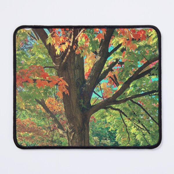 Item preview, Blend of two seasons/summer/autumn/maple tree/hello autumn designed and sold by VeenaNair23.
