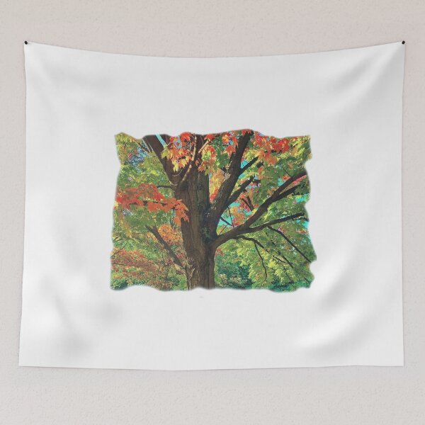 Item preview, Blend of two seasons/summer/autumn/maple tree/hello autumn designed and sold by VeenaNair23.