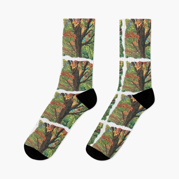 Item preview, Blend of two seasons/summer/autumn/maple tree/hello autumn designed and sold by VeenaNair23.