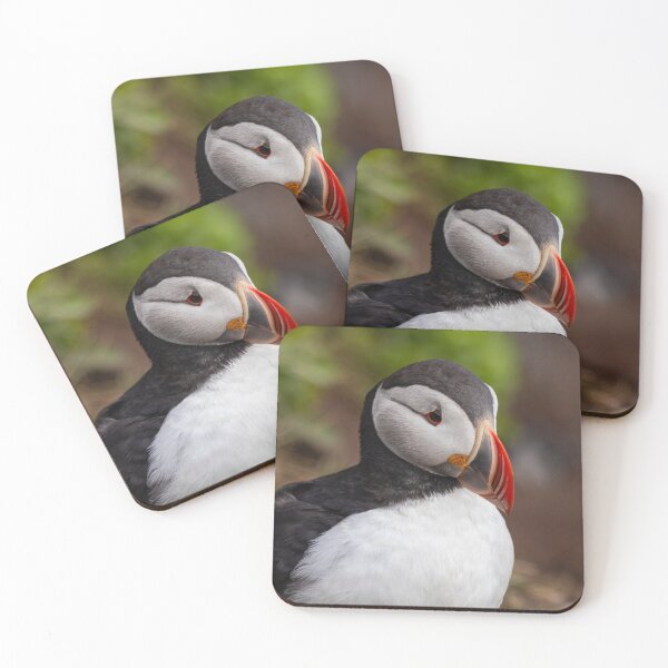 Item preview, Puffin in Iceland designed and sold by pietrofoto.