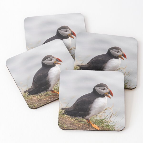 Item preview, Puffin in Iceland designed and sold by pietrofoto.