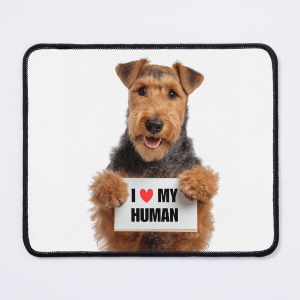 Item preview, Cute Welsh Terrier dog with Signboard I love my Human designed and sold by LazyOwlStore.