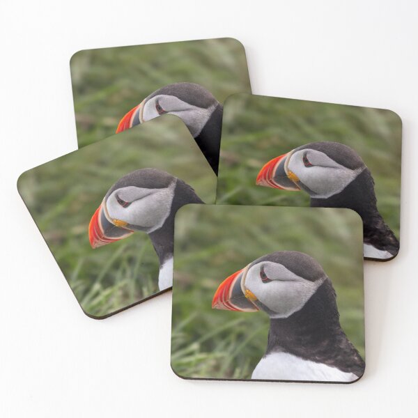 Item preview, Puffin in Iceland designed and sold by pietrofoto.