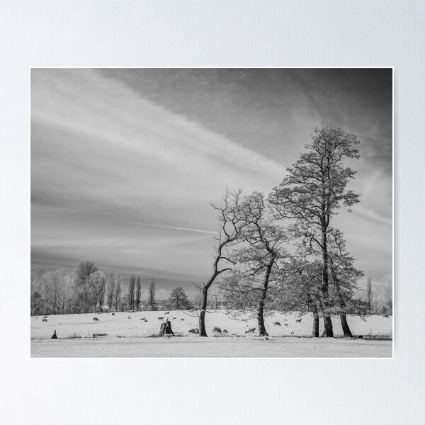 Item preview, Chelsworth Park # 2 designed and sold by ccullen222.