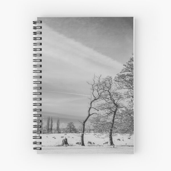 Item preview, Chelsworth Park # 2 designed and sold by ccullen222.