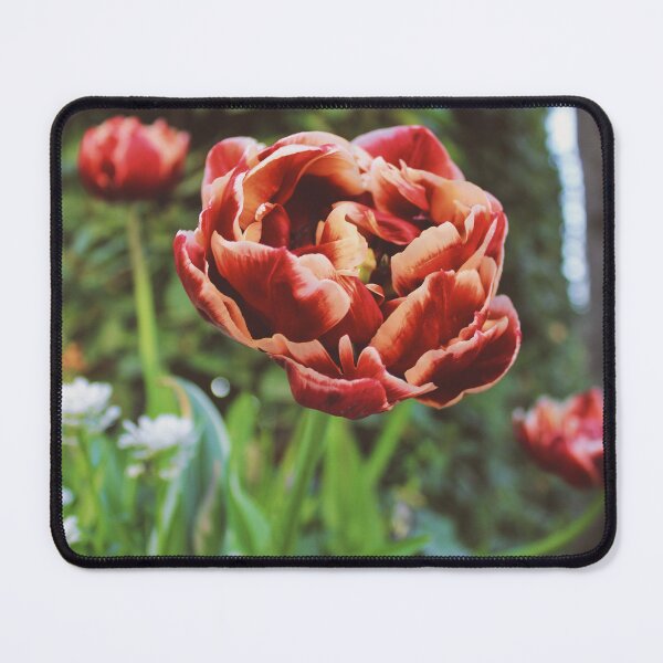 Item preview, Red vibrant flower designed and sold by ScarlettC15.