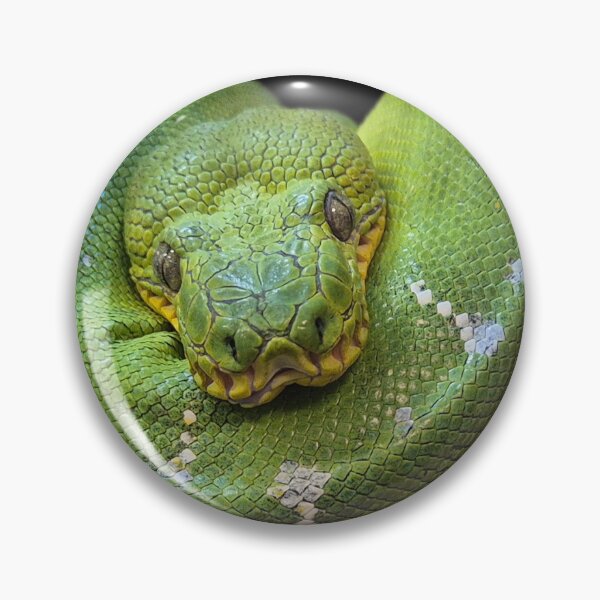 Item preview, Emerald Tree Boa  designed and sold by Bethany's Point Of View .