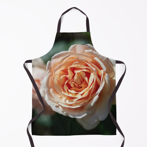 Item preview, Orange lke the sunset. Roses of the late summer series numer 14 designed and sold by Jouko Lehto Photography.