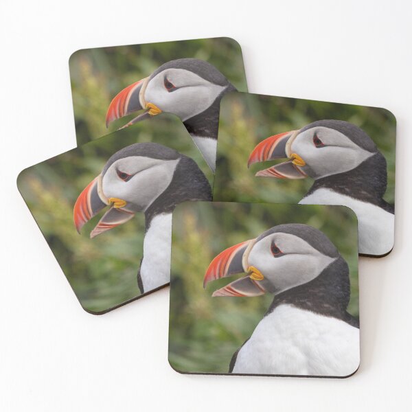 Item preview, Puffin with open beak designed and sold by pietrofoto.