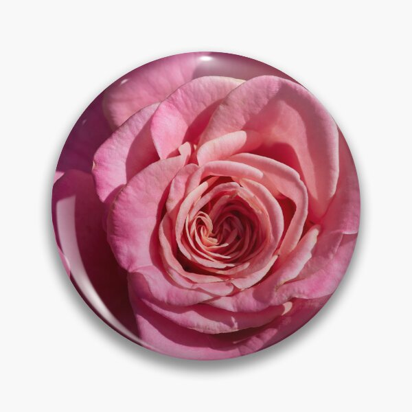 Item preview, Wonderful one. Roses of the late summer series numer 15 designed and sold by Jouko Lehto Photography.