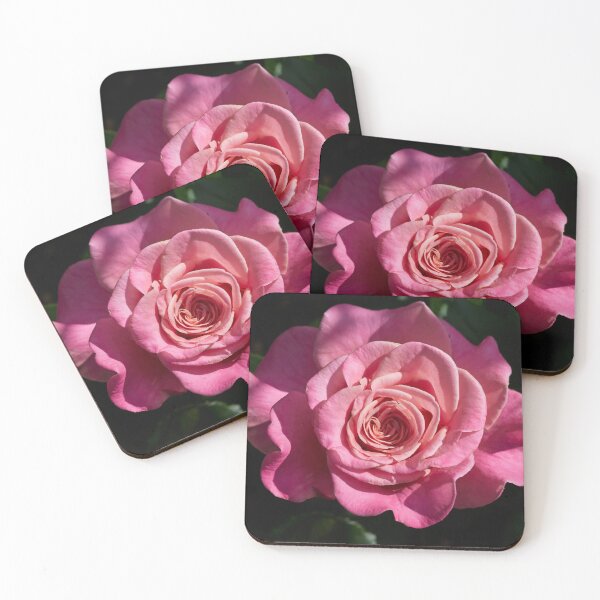 Item preview, Wonderful one. Roses of the late summer series numer 15 designed and sold by Jouko Lehto Photography.