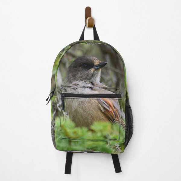 Item preview, Siberian jay portrait designed and sold by Jouko Lehto Photography.