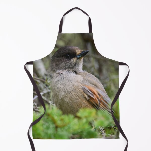 Item preview, Siberian jay portrait designed and sold by Jouko Lehto Photography.