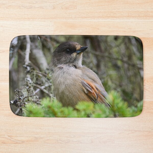Item preview, Siberian jay portrait designed and sold by Jouko Lehto Photography.