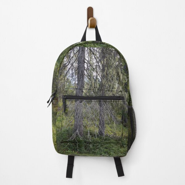 Item preview, Old spruce 2. Valtavaara 2025 number 5 designed and sold by Jouko Lehto Photography.