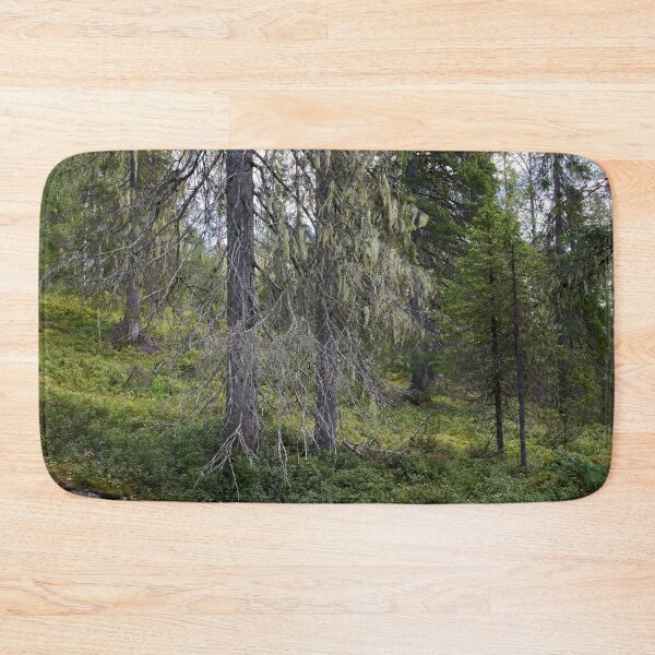 Item preview, Old spruce 2. Valtavaara 2025 number 5 designed and sold by Jouko Lehto Photography.