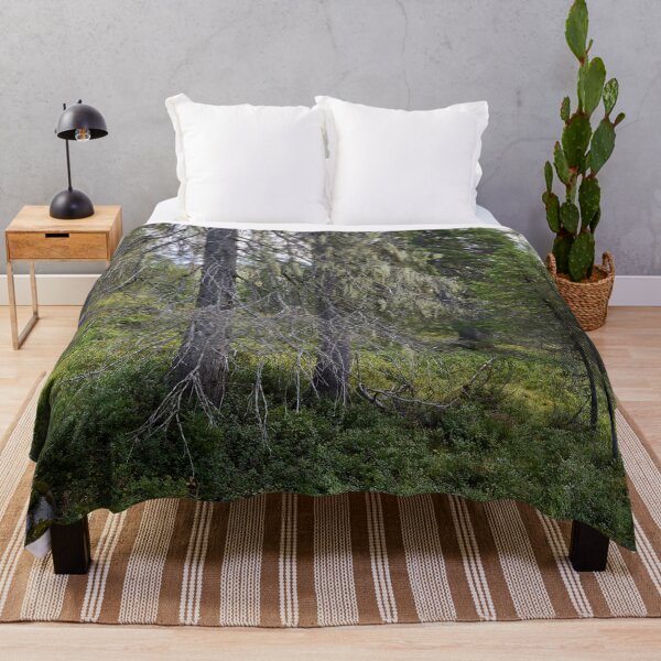 Item preview, Old spruce 2. Valtavaara 2025 number 5 designed and sold by Jouko Lehto Photography.
