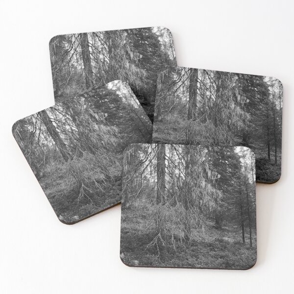 Item preview, Old spruce 2. Valtavaara 2025 number 5 bw designed and sold by Jouko Lehto Photography.