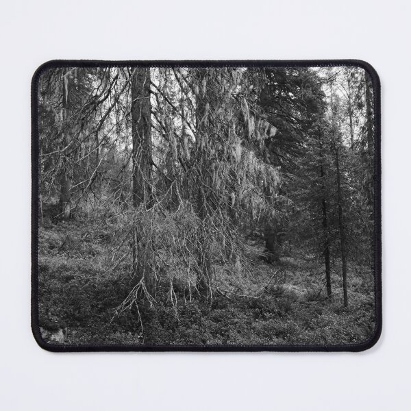 Item preview, Old spruce 2. Valtavaara 2025 number 5 bw designed and sold by Jouko Lehto Photography.