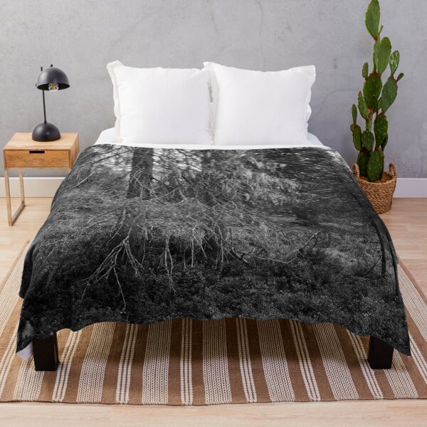 Item preview, Old spruce 2. Valtavaara 2025 number 5 bw designed and sold by Jouko Lehto Photography.