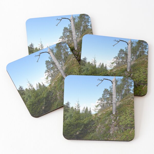 Item preview, The broken trunk. Valtavaara 2025 number 6 designed and sold by Jouko Lehto Photography.