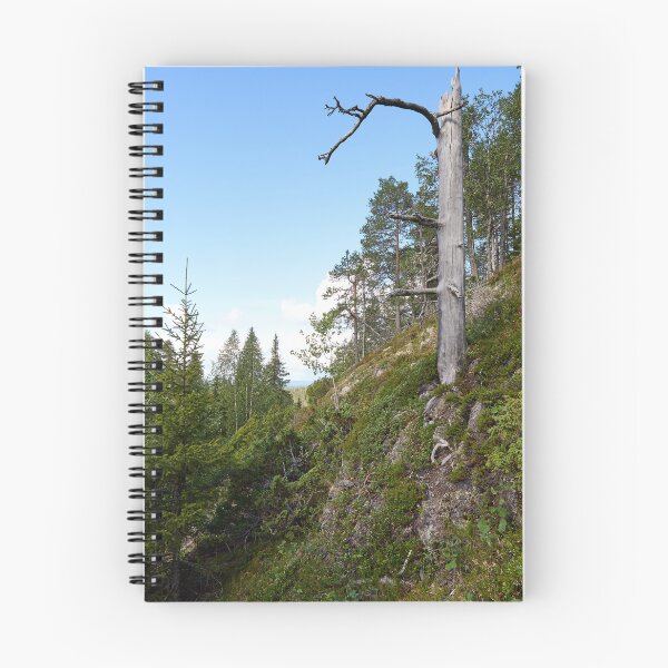 Item preview, The broken trunk. Valtavaara 2025 number 6 designed and sold by Jouko Lehto Photography.