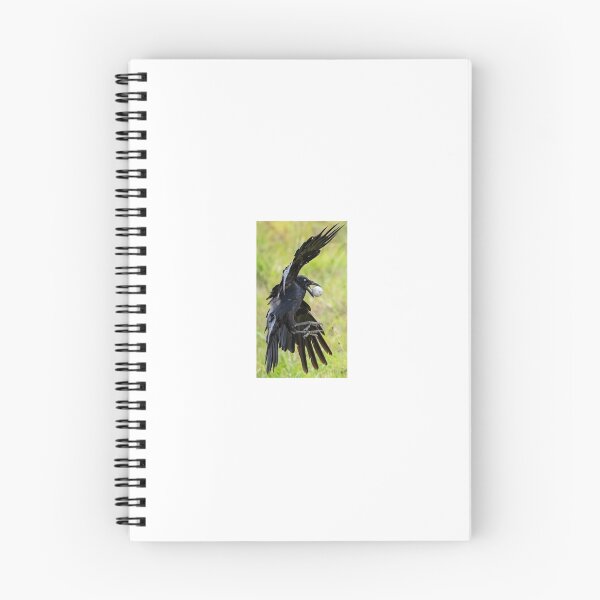 Item preview, grackle catching golf ball designed and sold by MEWowoes.