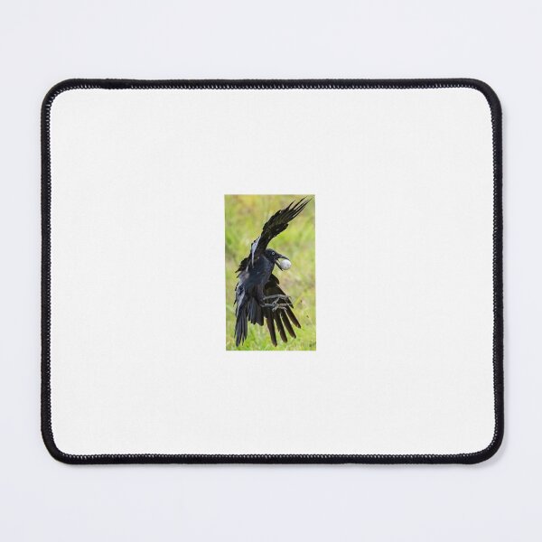 Item preview, grackle catching golf ball designed and sold by MEWowoes.