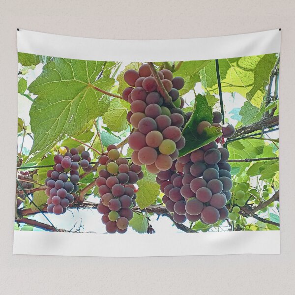 Item preview, Grapes designed and sold by DjeriK.