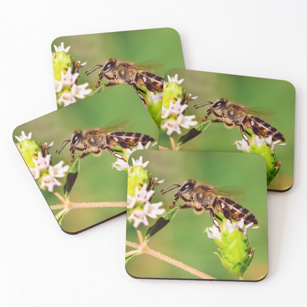 Item preview, Honeybee on the move designed and sold by PhotosBySara.