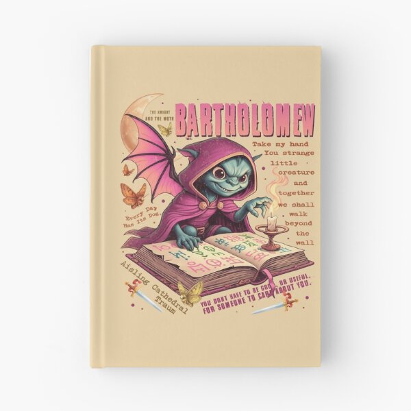 Item preview, The knight and the moth Book Vintage Bartholomew Rachel Gillig designed and sold by RamblingsRose.