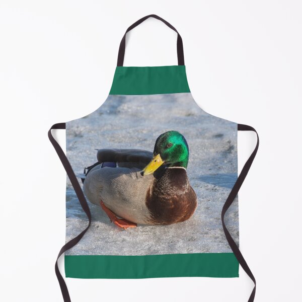 Item preview, Mallard Drake at Toronto's Harbourfront in Winter designed and sold by Gerda Grice Photography.