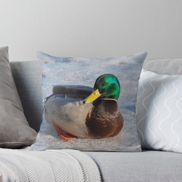 Item preview, Mallard Drake at Toronto's Harbourfront in Winter designed and sold by Gerda Grice Photography.