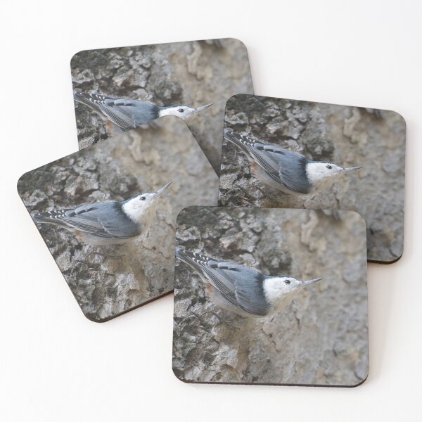 Item preview, White-breasted Nuthatch designed and sold by EnglandEcology.
