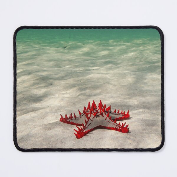 Item preview, Starfish designed and sold by newandchange.