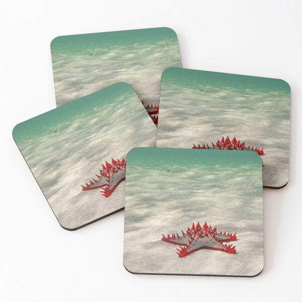 Item preview, Starfish designed and sold by newandchange.