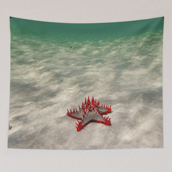 Item preview, Starfish designed and sold by newandchange.