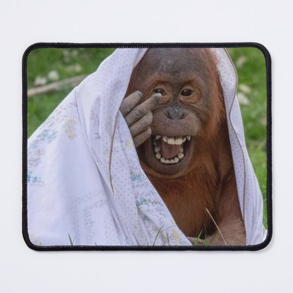 Item preview, Orangutan Middle Finger Meme designed and sold by booksfoodfandom.
