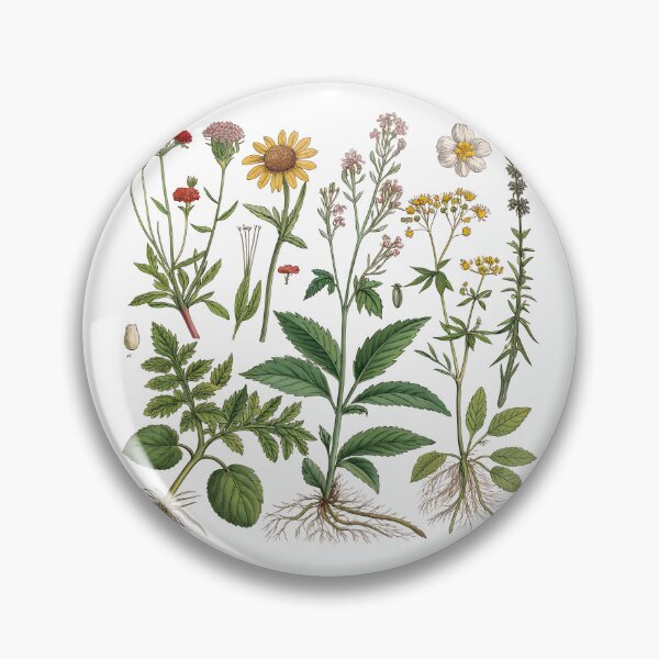 Item preview, Medicinal Plants Art Print – Detailed Botanical Illustration for Herbology Enthusiasts designed and sold by VividOrganica.