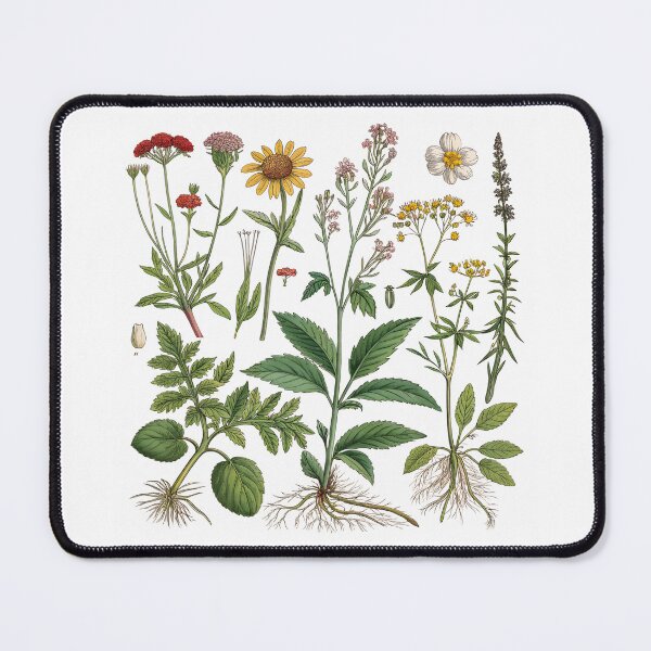 Item preview, Medicinal Plants Art Print – Detailed Botanical Illustration for Herbology Enthusiasts designed and sold by VividOrganica.