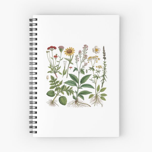 Item preview, Medicinal Plants Art Print – Detailed Botanical Illustration for Herbology Enthusiasts designed and sold by VividOrganica.