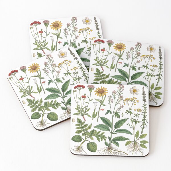 Item preview, Medicinal Plants Art Print – Detailed Botanical Illustration for Herbology Enthusiasts designed and sold by VividOrganica.